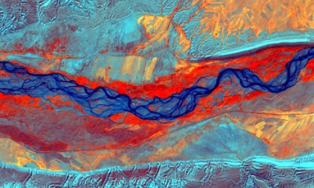 EORC research on biogeomorphology highlighted by EGU blog