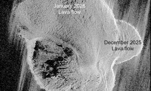 Dr. Simon Plank interviewed by NASA Earth Observatory