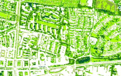 New publication on the relationship between urban green and land ownership