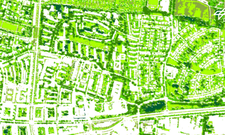 New publication on the relationship between urban green and land ownership
