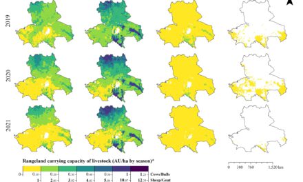 EAGLE MSc Defense: High-Resolution Seasonal Rangeland Carrying Capacity in Central Asia Using Sentinel-2 and the CASA Model