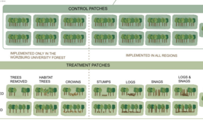 New publication on Invisible Diversity in Forests