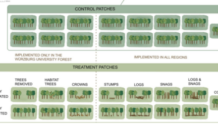 New publication on Invisible Diversity in Forests