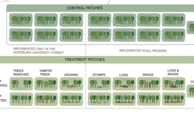 New publication on Invisible Diversity in Forests