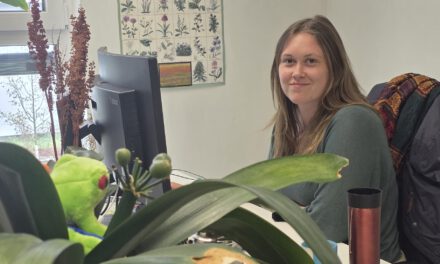 Spotlight about our researcher: Luisa Pflumm