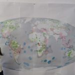 From Data to Impact: Viktoria Veith’s Internship at WWF