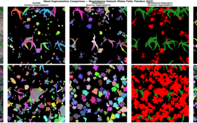 EAGLE Innolab Presentation: Very high-resolution UAV-based Weed Segmentation: Data Processing, Modelling, and Exploration of Vision-Language Models for Agriculture
