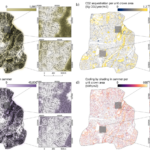 New publication on the remote sensing–based assessment of urban tree ecosystem services