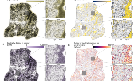 New publication on the remote sensing–based assessment of urban tree ecosystem services