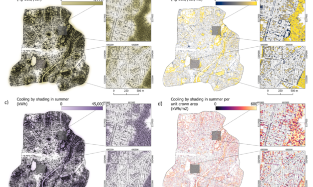 New publication on the remote sensing–based assessment of urban tree ecosystem services