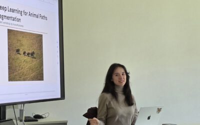 Informatics student project: Enhancing deep learning techniques to detect animal paths in UAV imagery