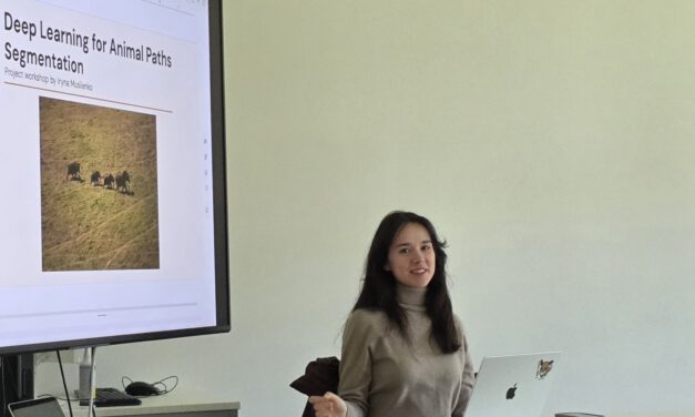 Informatics student project: Enhancing deep learning techniques to detect animal paths in UAV imagery