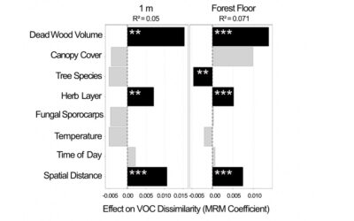 Publication on Lidar forest structure accepted