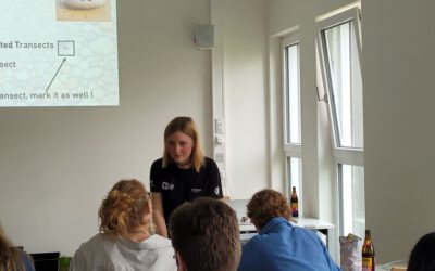 MaPebbleThon – Mapathon to support UAV and satellite imagery based grainsize estimation