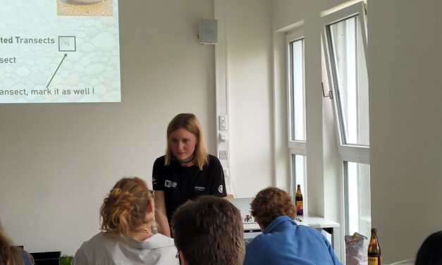 MaPebbleThon – Mapathon to support UAV and satellite imagery based grainsize estimation