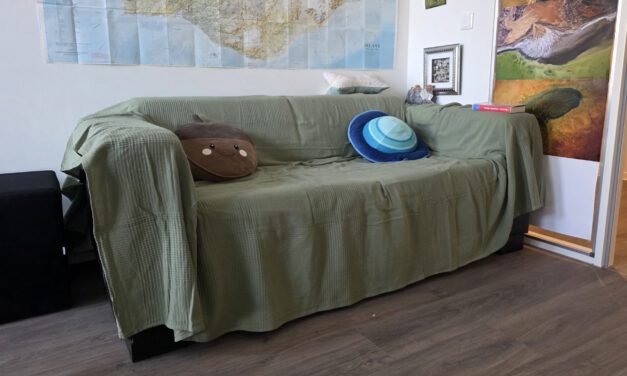 Spotlight on our Researchers: The EORC “Science-Couch”