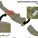 EAGLE Internship Presentation: Remote sensing for Ecological Applications in the High Arctic