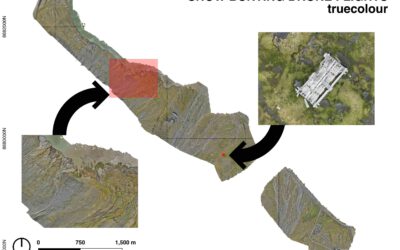EAGLE Internship Presentation: Remote sensing for Ecological Applications in the High Arctic