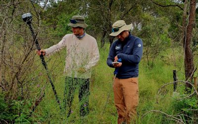 EAGLEs at SANParks – Kruger National Park