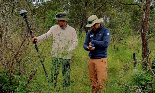 EAGLEs at SANParks – Kruger National Park