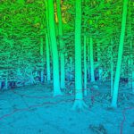 Collaboration with Forest Ecology, Goettingen