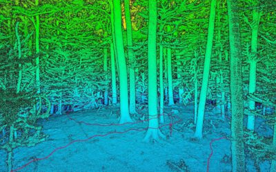Collaboration with Forest Ecology, Goettingen