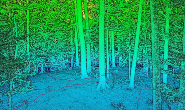 Collaboration with Forest Ecology, Goettingen