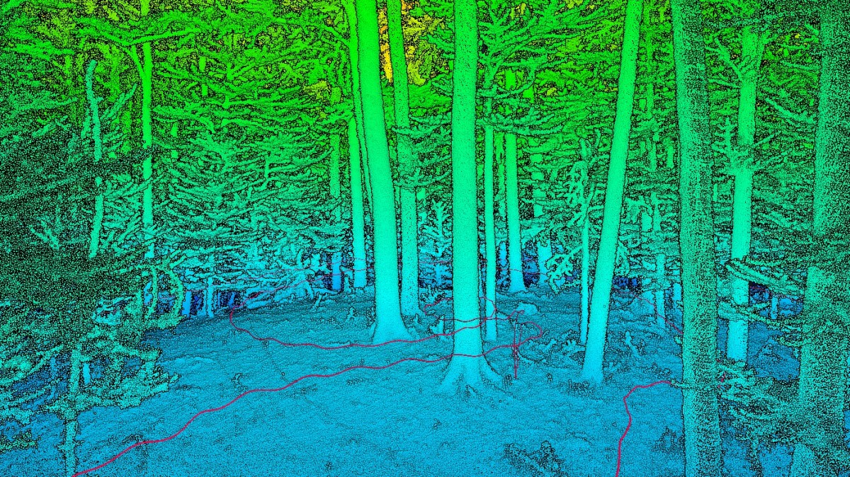 EORC_Lidar_scan_forest.jpeg.jpe