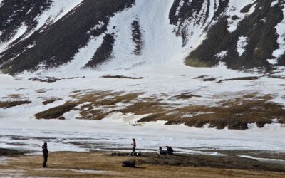 When Snow Disappears Too Early
