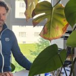 Spotlight on our Researchers: Martin Wegmann