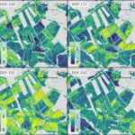 EAGLE MSc Defense: Evaluating the Potential of a Deep Learning Framework for Detecting Mowing Events in German Grasslands with Sentinel-1 InSAR Coherence