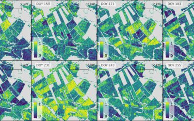 EAGLE MSc Defense: Evaluating the Potential of a Deep Learning Framework for Detecting Mowing Events in German Grasslands with Sentinel-1 InSAR Coherence