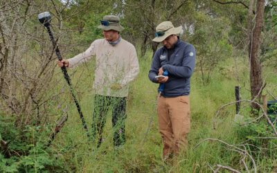 EAGLE Internship Presentation: Fire and drought research in savanna ecosystems – Kruger National Park
