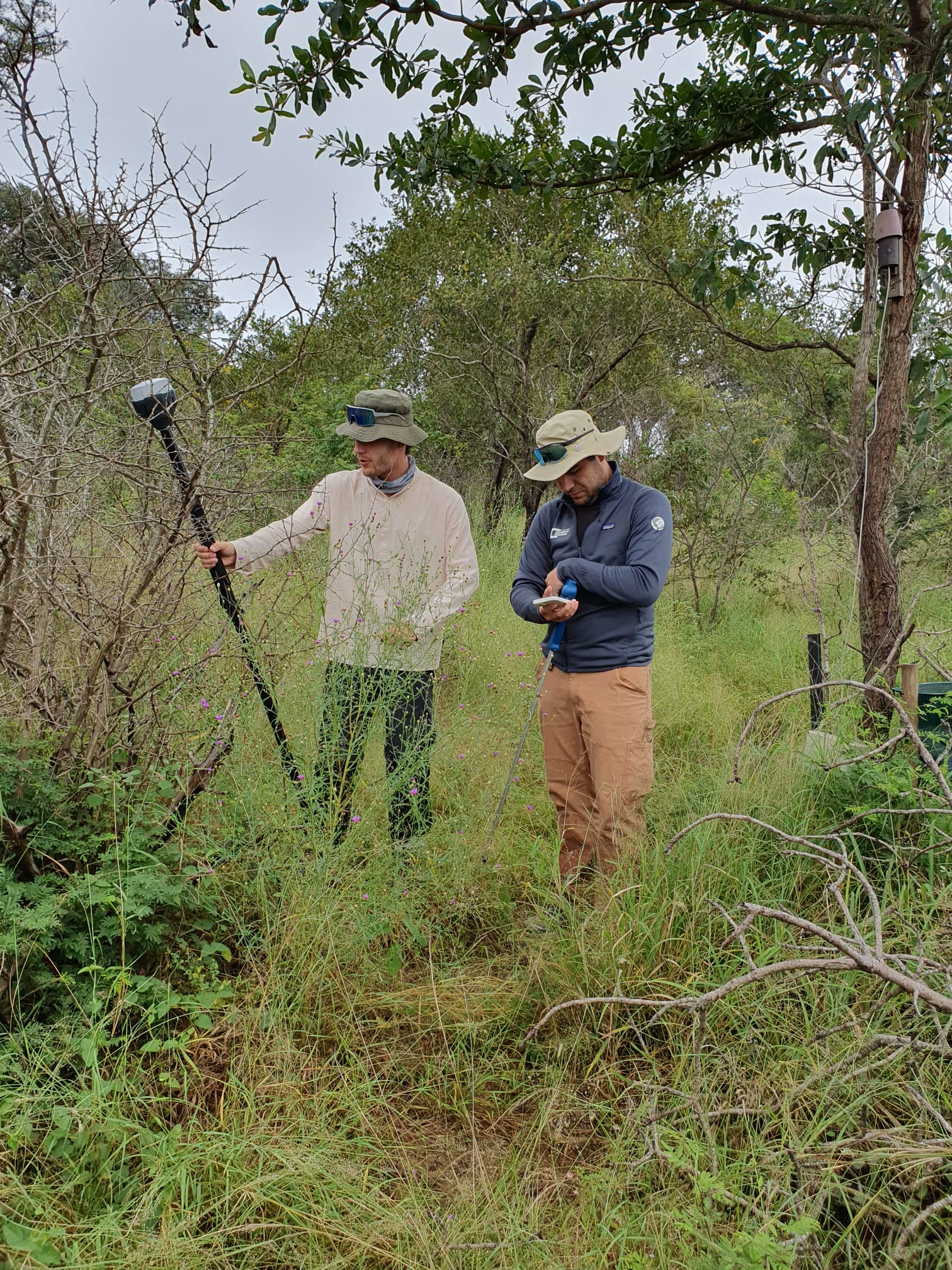 kruger_field_work.jpg