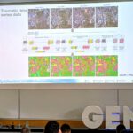 AI Meets Earthquake Risk: DLR Researchers at GEM Conference 2026