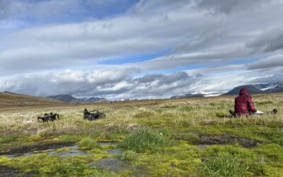 Updates from the High Arctic: Ronja’s Summer Field Campaign in Reindalen