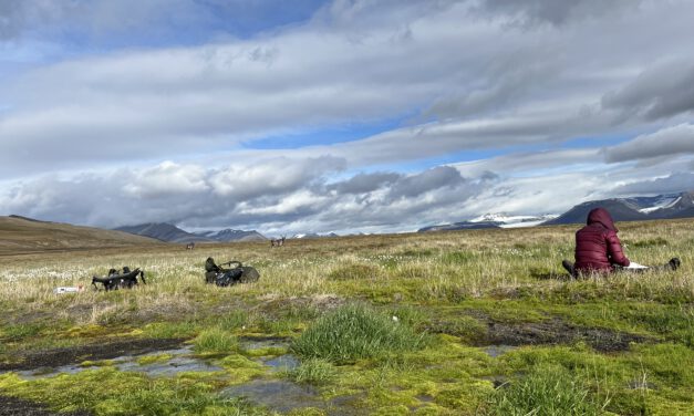 Updates from the High Arctic: Ronja’s Summer Field Campaign in Reindalen