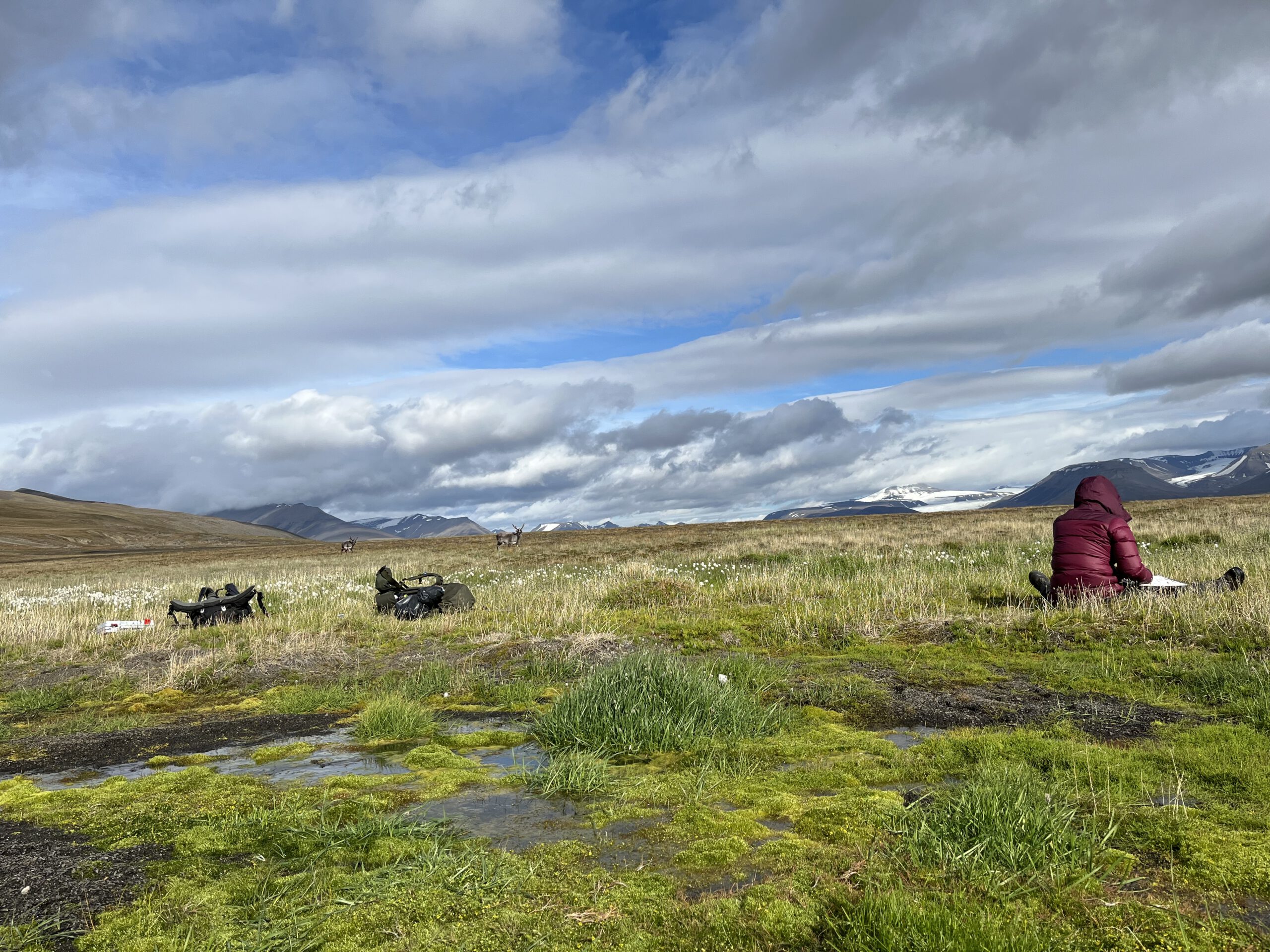Earth Observation News - Updates from the High Arctic: Ronja’s Summer Field Campaign in Reindalen
