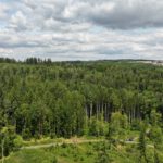 From the lecture hall into the forest