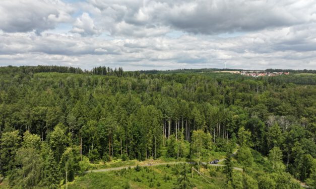 From the lecture hall into the forest