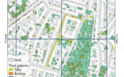 New paper on Urban tree classification