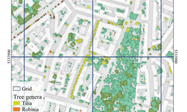 New paper on Urban tree classification
