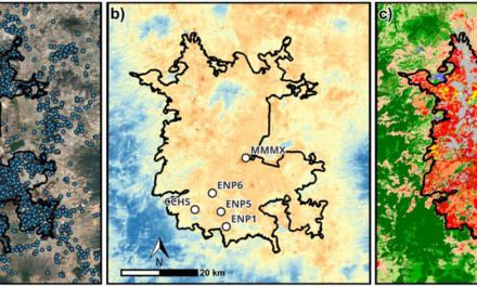 New paper on the relation of Measured and experienced urban Heat