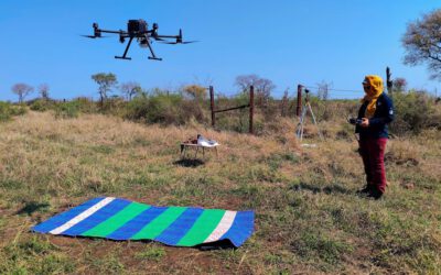 Field campaign for DFG Fire and Savanna project