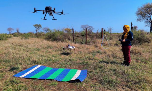 Field campaign for DFG Fire and Savanna project