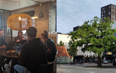 EORC at the joint NSO-GfÖ 2026 conference in Odense, Denmark