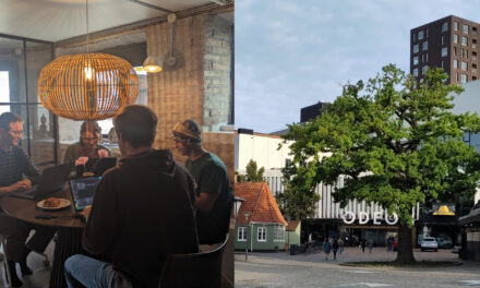 EORC at the joint NSO-GfÖ 2026 conference in Odense, Denmark