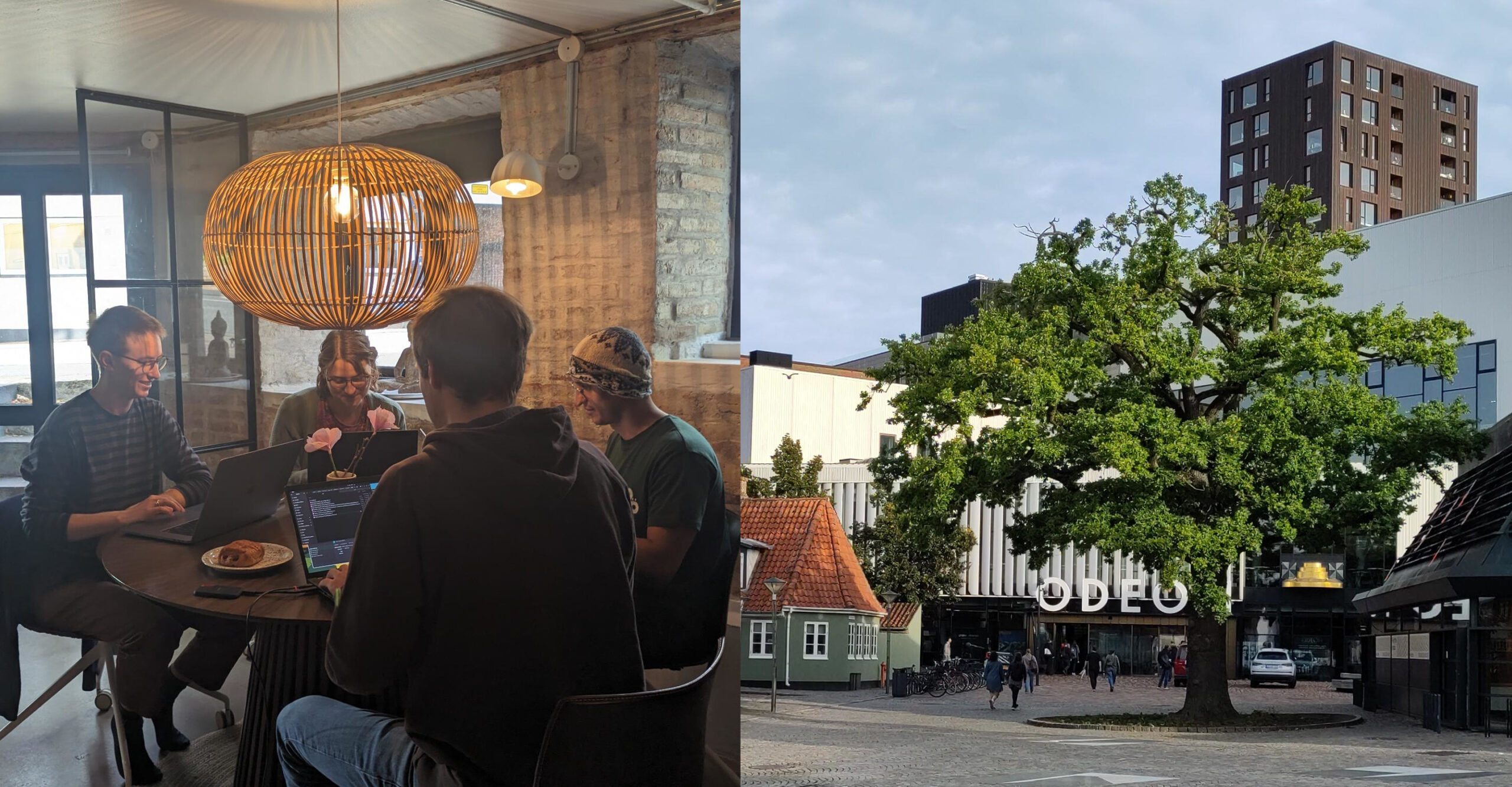 Earth Observation News - EORC at the joint NSO-GfÖ 2026 conference in Odense, Denmark