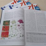 Publication on EO-based Detection of Urban Green and Trees in Munich in the ZFV special issue for INTERGEO 2026