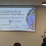 Julia Rieder presents on relationship between beech canopy gap dynamics and defoliation at NSO-GfÖ 2026